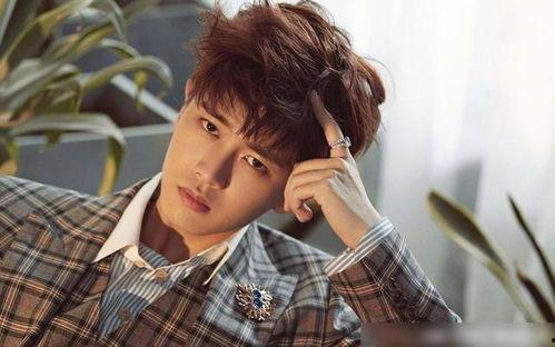 吃瓜娱乐任嘉伦完整版